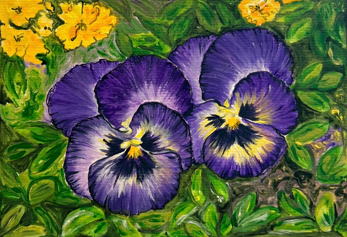 Pansies