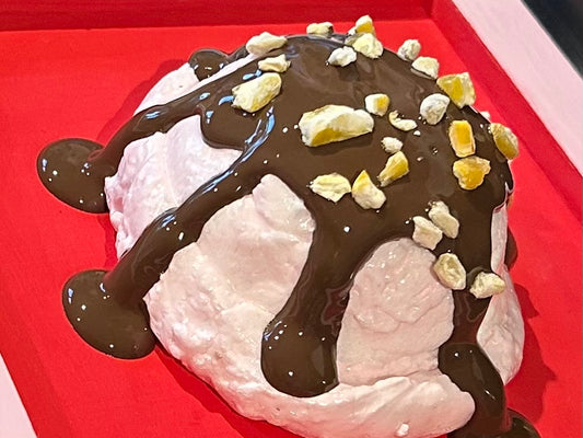Ice Cream with Chocolate Sauce & Nuts