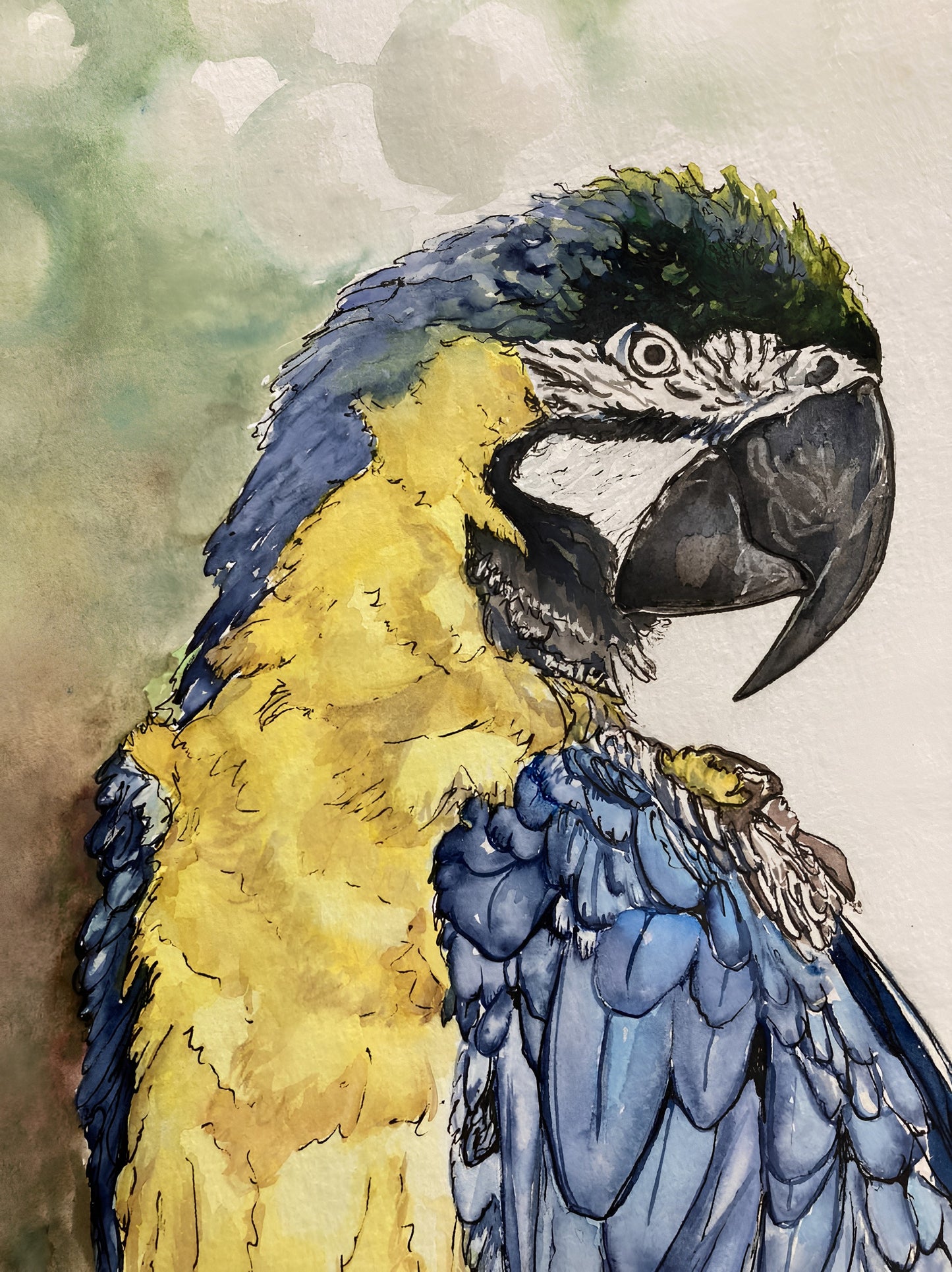 Custom Pet Portraits