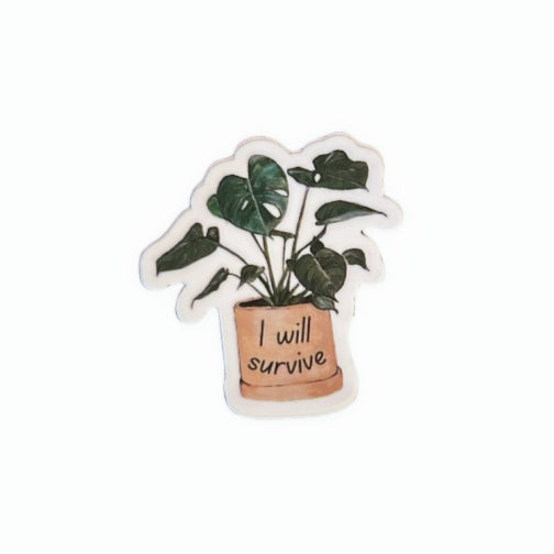 I will survive - 2" STICKER image 0