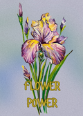 FLOWER POWER
