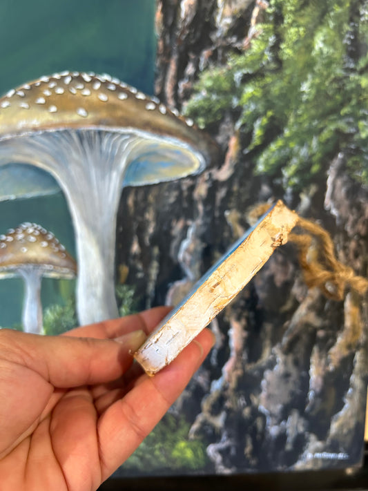 Shroom