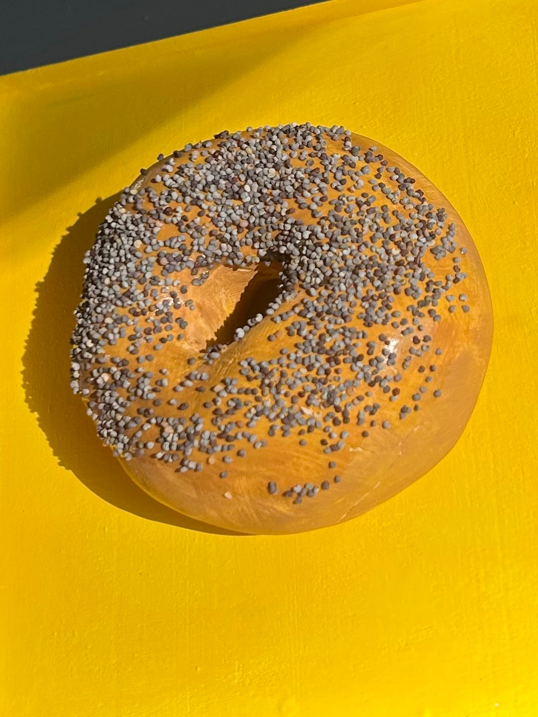 Poppy Seed Bagel