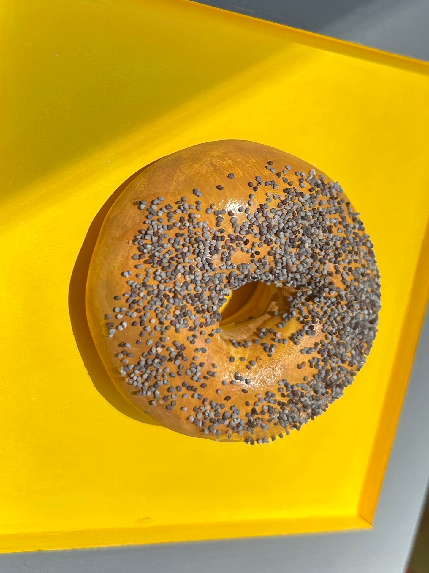 Poppy Seed Bagel
