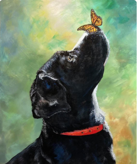 Custom Pet Portraits